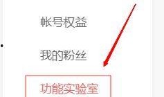 今日头条小说爆料怎么写,揭秘热门小说背后的秘密与幕后故事