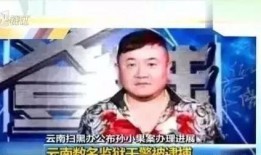 外媒爆料孙小果视频全集,外媒揭秘惊人内幕